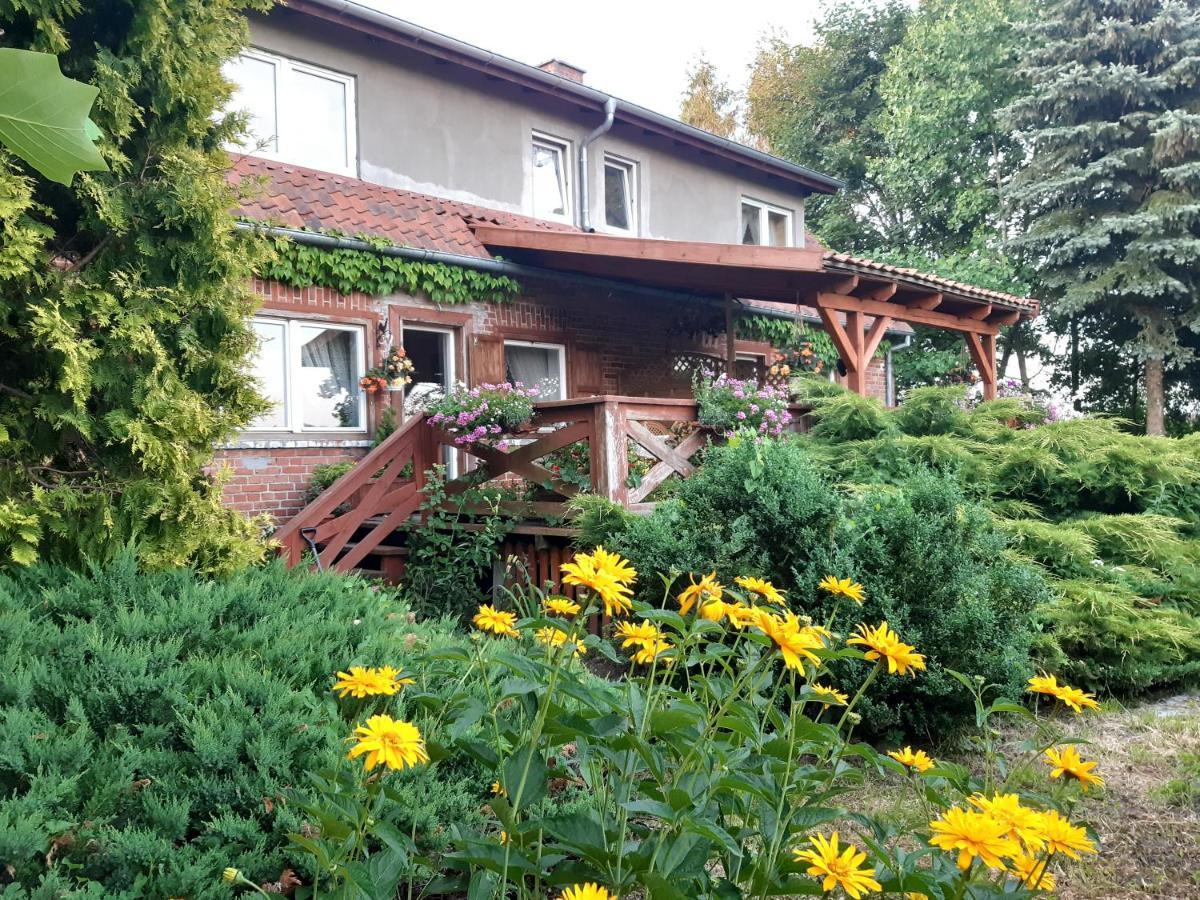 Dziki Brzeg Jezioraka Villa Zalewo  Eksteriør billede